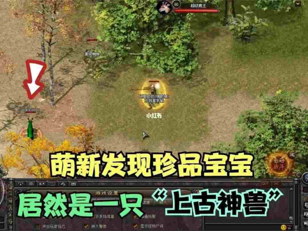 仿盛大传奇材料服之热血传奇欧皇出什么装备
